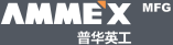 Ammex （普华英工）Logo with English and Chinese Name